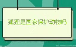 狐貍是國家保護動物嗎？狐貍有什么特征？